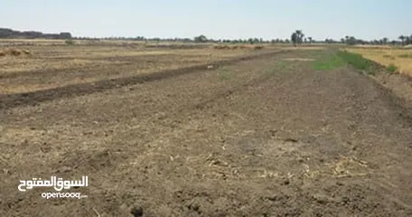  1 ارض للبيع فيه طوباس