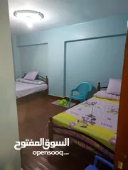  4 شقة للبيع بين خالد بن الوليد والعيسوى