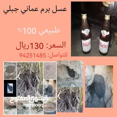  12 عسل عماني جبلي طبيعي  ٪100