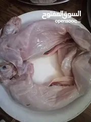  3 طعام تواصي بيتي