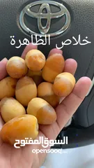  14 فسائل متنوعه للبيع