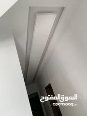  6 فيله للبيع