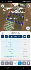  2 مادبا ماعين ارض زراعية مميزة عليها مزرعة زيتون جاهزة واصل جميع الخدمات مساحتها 4500 م