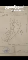  1 باسل  محمد محمود احمد