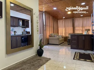  17 روف فخم مفروش كامل للإيجار - 100م-ضاحية الأمير راشد