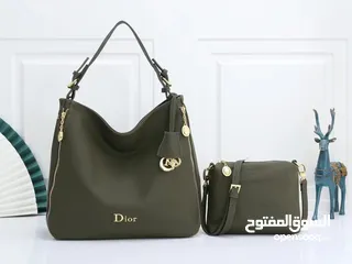  6 حقائب Dior