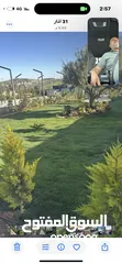  8 شاليه للبيع