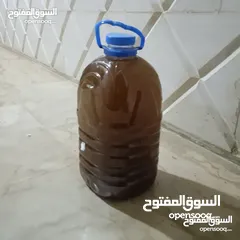  1 50 Gallons Of Apple Vinegar 4 Liters