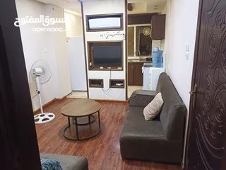  1 شقة مفروشة في اربد  - ايدون - قرب دوار اللوازم الاقتصاد الجديدة