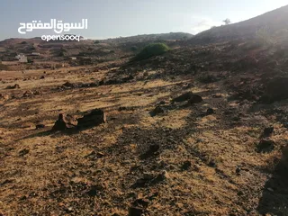  5 نمرتين ظهرة الرمل بسعر مغري جدا اطلالة غربية كاملة تصلح ل شالية فخم