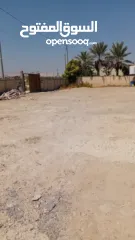  5 قطعة أرض للبيع في منطقة اريحا