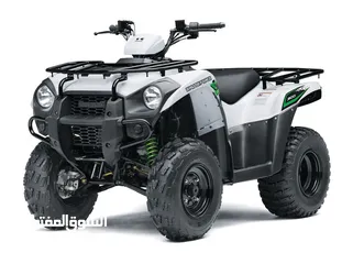  3 Kawasaki BRUTE FORCE 300