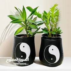  10 Handmade plant pots
