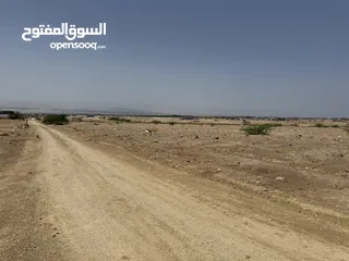 9 للبيع ارض في منطقة البحر الميت
