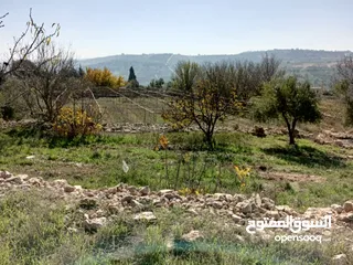  13 مزرعه  للبيع ..منطقه مرتفعه..وماله.. مشجره...تحتوي 2 بير ماء...مزرعة دواجن 5 آلاف طير...مخدومه كهربا