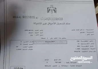  2 قطعه ارض للبيع مساحتها 750 م قرب القصور الملكيه حي الرحمانيه حوض المنش رقم القطعه 234