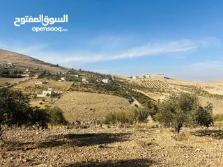  4 بسم الله الرحمن الرحيم  ارض للبيع في صروت مساحه 3531م3 جميع الخدمات ثاني قطعه عن شارع الرئيسي