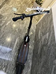  2 Electric Scooter