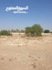  3 مزرعة للبيع بموقع مميز قريب للخدمات والسعر مناسب