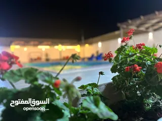  21 مزرعة نور الشمس بيرين صروت إيجار يومي او شهري