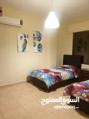  15 شاليه لمار البحر الميت - الجوفة  للايجار اليومي