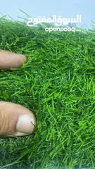  1 عشب صناعى ابتداء من 1،99