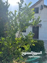  5 مزرعة 10 دونمات مع شاليه و مسبح للبيع
