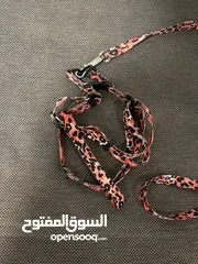  5 اغراض للقطط للبيع