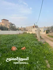  3 عمر دار خليل