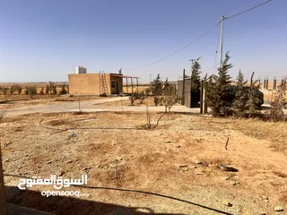  3 قطعة أرض وبيتين  ومزرعه جاهز للسكن