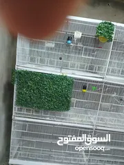  7 يونت ثلاث طوابق للبيع تفصيل حديد ثقيل شبه وكاله