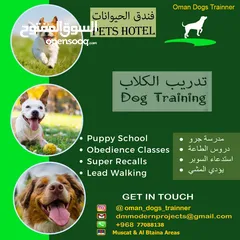  1 dogs training and for sale تدريب الكلاب للبيع