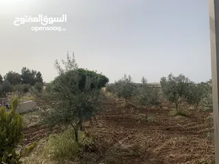  4 مزرعة للبيع مع شاليه ريفي خلف كنج اكاديمي