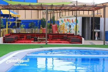 12 مزرعه العز طريق الزرقاء جرش