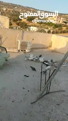  26 حمام للبيع في الزرقاء العالوك بجانب بقالة الصقر التواصل عبر الواتس اب