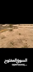  3 ارض للبيع في مدينة اريحا