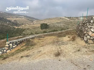  2 قطعة ارض زراعية منطقة ام رمانة قريبة من التنظيم
