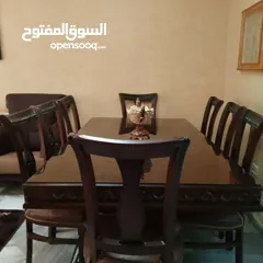  15 شقة  للبيع