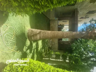  4 fully furnished ground floor with huge garden and terraces,,separate entrance ..