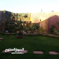  16 خدمه ديكورات