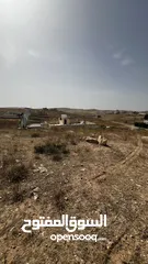  3 ارض للبيع في عمان منطقه البيضاء حوض العبوس