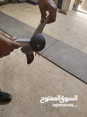  1 حمام بلدي شغال وصحه قويه شغل تربايه ومشروع زغاليل