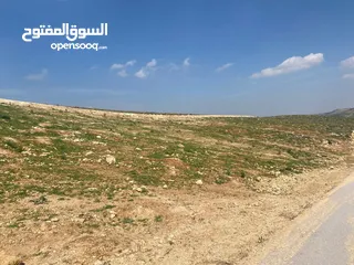  4 قطعة ارض للبيع ( منطقة فلل وقصور )واصل جميع الخدمات ( على قمة بيرين )
