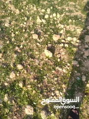  10 قطعة أرض للبيع مميزة بأطلالة مرتفعة وبسعر مغري