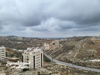  5 شقة عظم للبيع