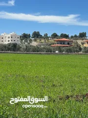  4 للبيع منبسطه واصل الخدمات اطلاله رائعة منطقة مزارع وشاليهات فخمه.
