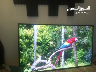  1 شاشه سامسونج 58 سمارت