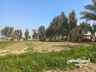  17 مزرعه 5 دونم في بغداد الرضوانيه على شارعين تبليط قرب القطاع الزراعي