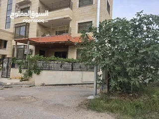  28 شقه مدخل مستقل مرتفعه 7 درجات عن الشارع مساحة الشقه 178 م2 عمر البناء 8 سنوات شماليه غربيه جنوبيه بس