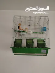  1 حبات بصلاه على النبي